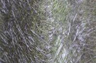 Sutton On The Forest fibreglass roof work